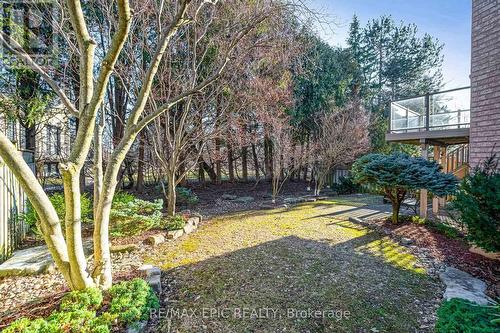 11 Palace Court, Richmond Hill, ON - Outdoor