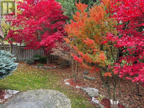 11 Palace Court, Richmond Hill, ON - Outdoor
