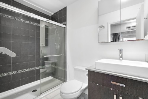 Master Bathroom - 204-2375 Av. Ekers, Mont-Royal, QC - Indoor Photo Showing Bathroom