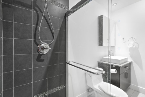 Master Bathroom - 204-2375 Av. Ekers, Mont-Royal, QC - Indoor Photo Showing Bathroom
