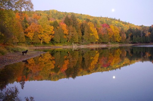 Bord de l'eau - 218 Ch. Potvin, Duhamel, QC 