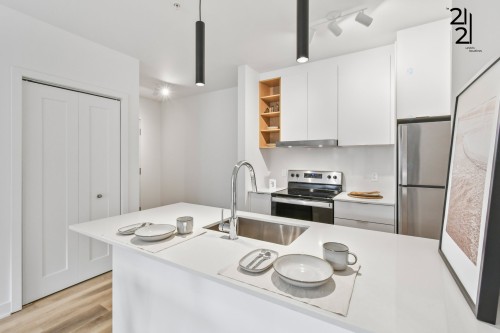 Kitchen - 106-2121 Av. Papineau, Montréal (Ville-Marie), QC - Indoor Photo Showing Kitchen