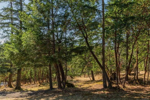 108 Tern Rd, Salt Spring, BC 