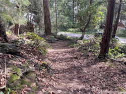 Lot 130 Ling Cod Lane Mudge Island, BC V0V 0V0