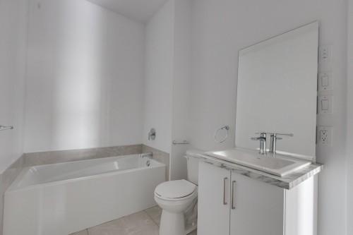 Bathroom - 107-3685 Rue Fleury E., Montréal (Montréal-Nord), QC - Indoor Photo Showing Bathroom
