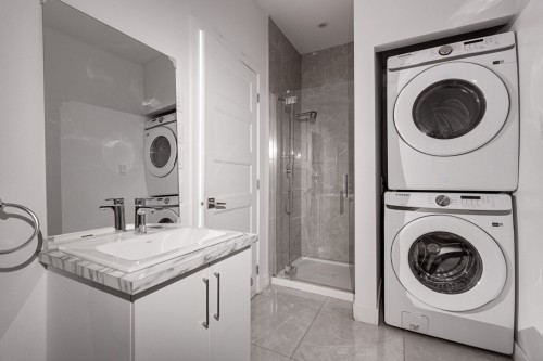 Bathroom - 107-3685 Rue Fleury E., Montréal (Montréal-Nord), QC - Indoor Photo Showing Laundry Room