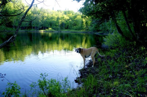 Bord de l'eau - 218Z Ch. Potvin, Duhamel, QC - Outdoor With Body Of Water