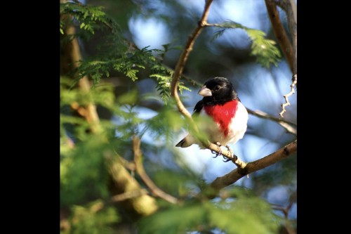 Extérieur - 218Z Ch. Potvin, Duhamel, QC - 