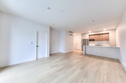 Salon - 