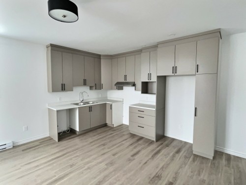 Cuisine - 114 Av. Carter, Rouyn-Noranda, QC - Indoor Photo Showing Kitchen With Double Sink