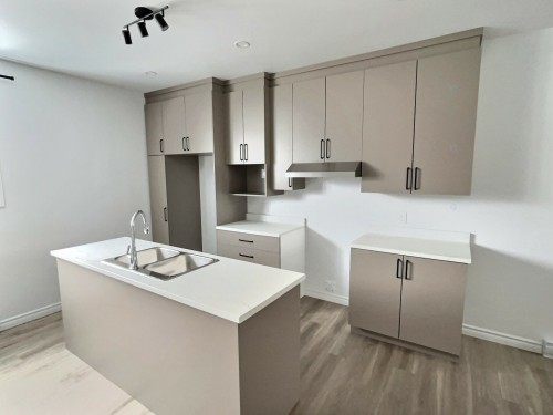 Cuisine - 120 Av. Carter, Rouyn-Noranda, QC - Indoor Photo Showing Kitchen With Double Sink