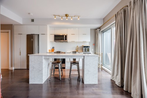 Kitchen - 603-2100 Boul. St-Laurent, Montréal (Ville-Marie), QC - Indoor Photo Showing Kitchen With Upgraded Kitchen