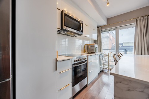 Kitchen - 603-2100 Boul. St-Laurent, Montréal (Ville-Marie), QC - Indoor Photo Showing Kitchen With Upgraded Kitchen