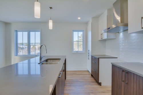 Kitchen - 1-600 Rue Cadieux, Mont-Tremblant, QC - Indoor Photo Showing Kitchen With Double Sink