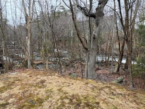 204 41 Moirs Mill Road, Bedford, NS 