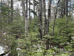 Lot 1 and 2 Plan 4632 Route 645 Harvey, NB E6K 2X8