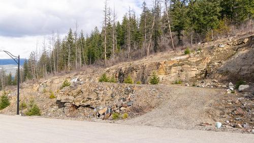 275 Bayview Drive, Sicamous, BC - Outdoor With View