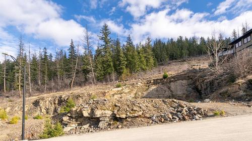 275 Bayview Drive, Sicamous, BC - Outdoor With View