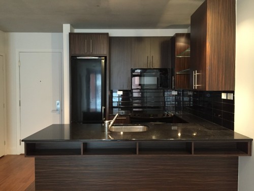 Kitchen - 342-950 Rue Notre-Dame O., Montréal (Le Sud-Ouest), QC - Indoor Photo Showing Kitchen With Double Sink