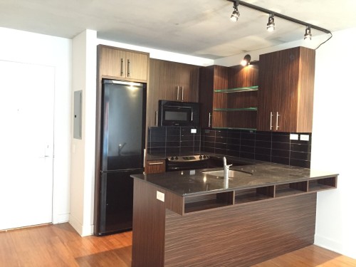 Kitchen - 342-950 Rue Notre-Dame O., Montréal (Le Sud-Ouest), QC - Indoor Photo Showing Kitchen