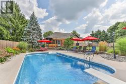 summer photo - 