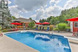 summer photo - 