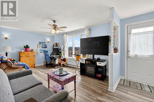 48 Harbour Buffett Road, Arnold'S Cove, NL - Indoor Photo Showing Living Room