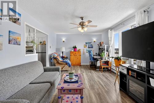 48 Harbour Buffett Road, Arnold'S Cove, NL - Indoor Photo Showing Living Room