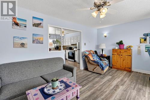 48 Harbour Buffett Road, Arnold'S Cove, NL - Indoor Photo Showing Living Room