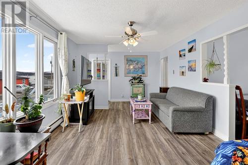 48 Harbour Buffett Road, Arnold'S Cove, NL - Indoor Photo Showing Living Room