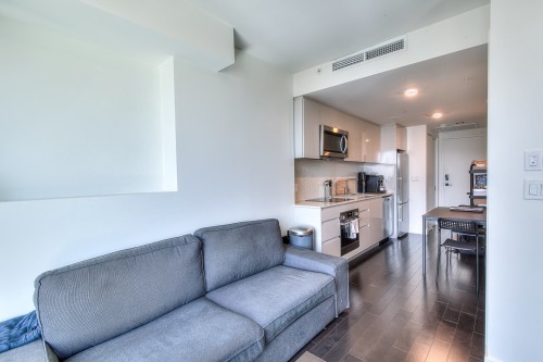 Living Room - 3712-1210 Rue Jeanne-Mance, Montréal (Ville-Marie), QC - Indoor Photo Showing Living Room