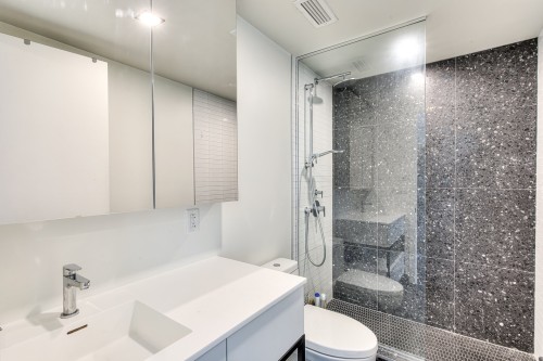 Bathroom - 3712-1210 Rue Jeanne-Mance, Montréal (Ville-Marie), QC - Indoor Photo Showing Bathroom