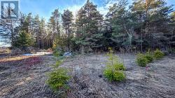 6382 FIFTH LINE Centre Wellington, ON N1M 2W5