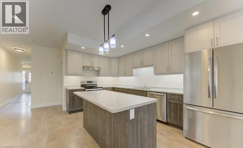 Kitchen with stainless steel appliances, light countertops, a center island, and light wood-style flooring - 113 Walter Street, Kitchener, ON - Indoor Photo Showing Kitchen With Upgraded Kitchen