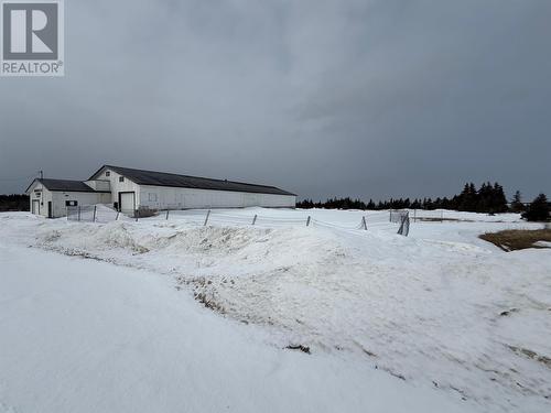 50 Route 430, St. Barbe, NL 
