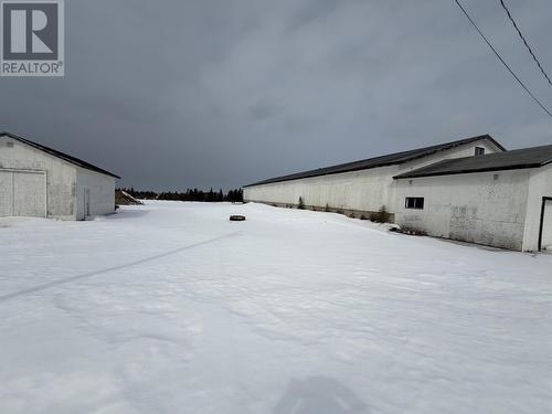 50 Route 430, St. Barbe, NL 