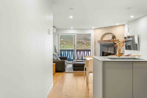 Vue d'ensemble - 223-129 Rue Cuttle, Mont-Tremblant, QC - Indoor