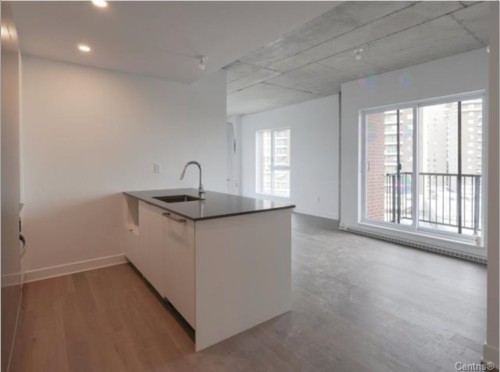 607-1971 Rue du Havre  Montréal (Ville-Marie), QC H2K 0E5