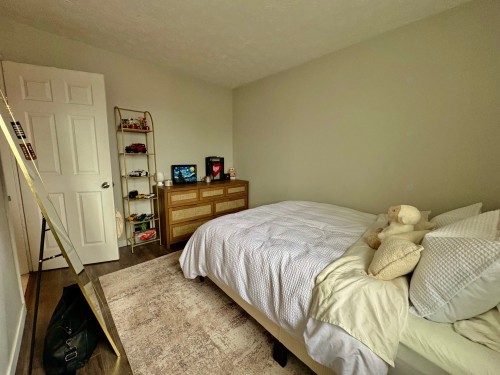 Chambre à coucher principale - 401-45 Rue Beauséjour, La Prairie, QC - Indoor Photo Showing Bedroom