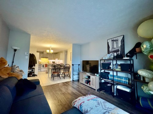 Salon - 401-45 Rue Beauséjour, La Prairie, QC - Indoor Photo Showing Living Room