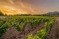 SL1 North Rd Duncan, BC V9L 6K9