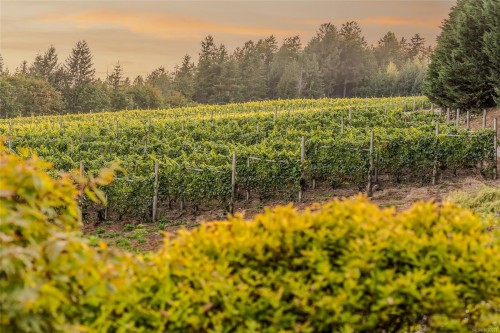 6552 North Rd, Duncan, BC 