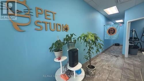 4 - 595 Carlton Street, St. Catharines (Carlton/Bunting), ON 