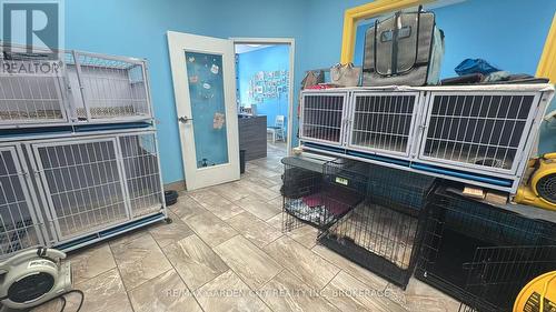 4 - 595 Carlton Street, St. Catharines (Carlton/Bunting), ON 
