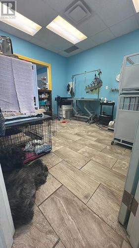 4 - 595 Carlton Street, St. Catharines (Carlton/Bunting), ON 