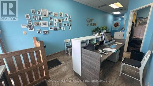 4 - 595 Carlton Street, St. Catharines (Carlton/Bunting), ON 