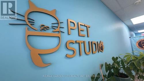 4 - 595 Carlton Street, St. Catharines (Carlton/Bunting), ON 
