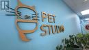 4 - 595 Carlton Street, St. Catharines (Carlton/Bunting), ON 