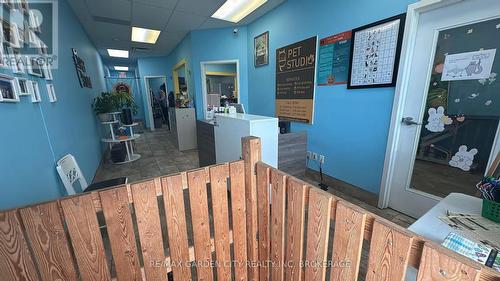 4 - 595 Carlton Street, St. Catharines (Carlton/Bunting), ON 