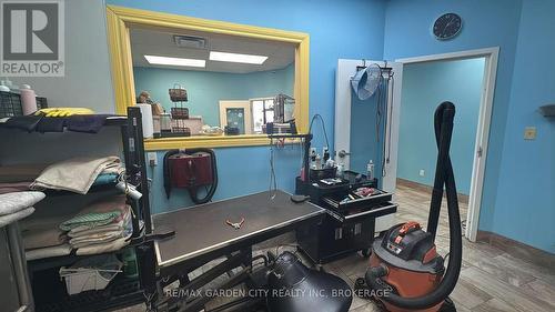 4 - 595 Carlton Street, St. Catharines (Carlton/Bunting), ON 